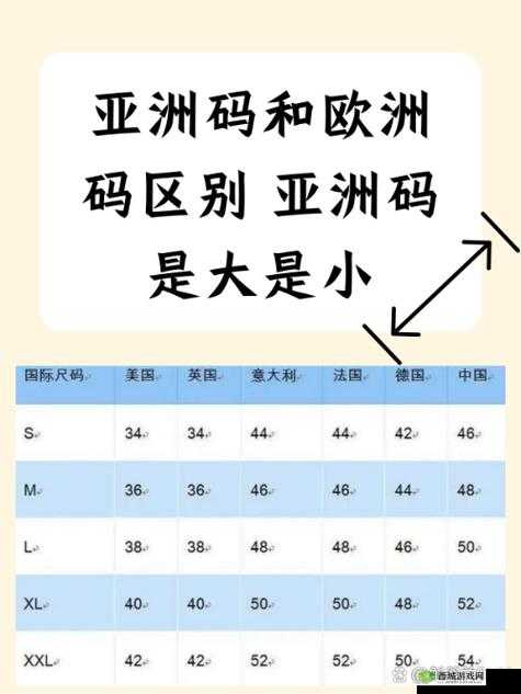 欧洲 M 码与亚洲 S 码尺寸范围对比分析