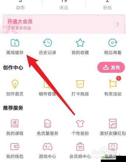 B站视频离线观看技巧：如何下载视频