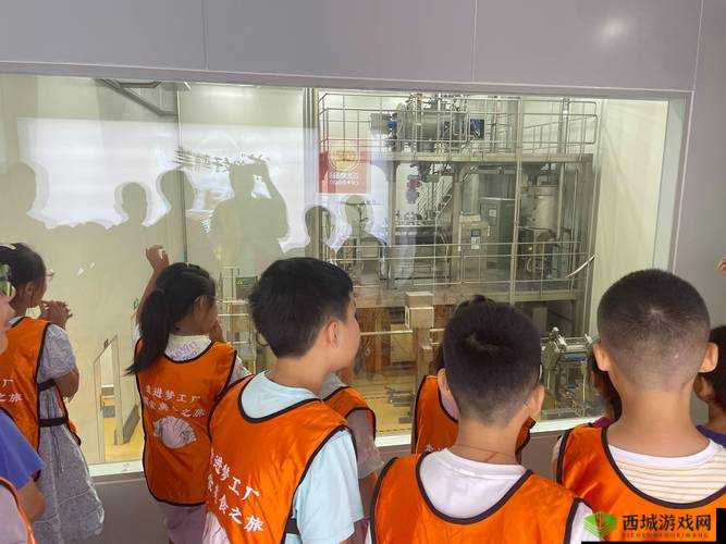 中国 WINDOWS 野外 MGDRCC 魅力：探索自然之美