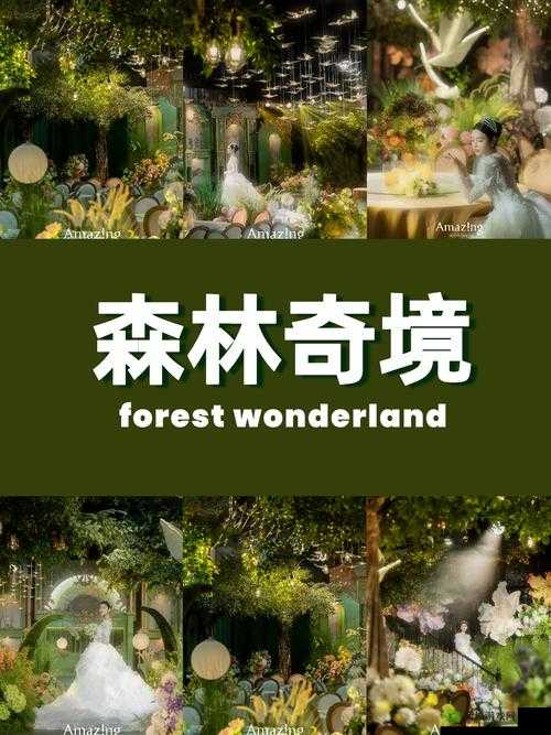WELCOME 仙踪林是什么？带你了解神秘而独特的 WELCOME 仙踪林
