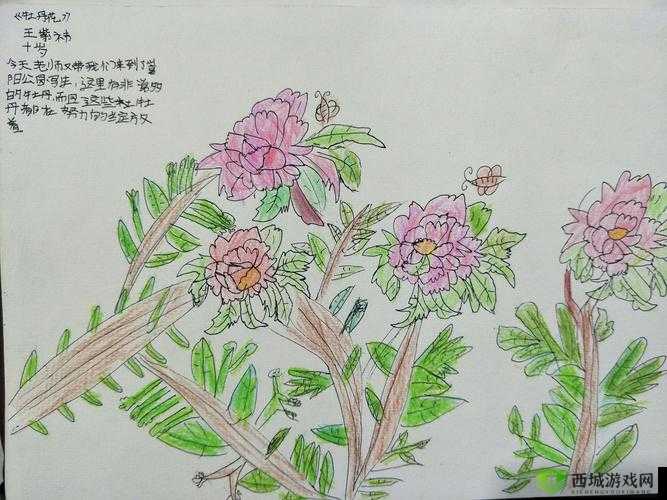 国产一卡 2 卡 3 卡 4 卡国色天香：探究其背后的秘密